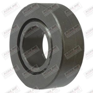 King Pin Bearing - 5119699