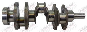 Crankshaft (Genmot) RE50979