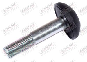 Rear Window Screw